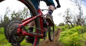 5 imprescindibles para tu bicicleta