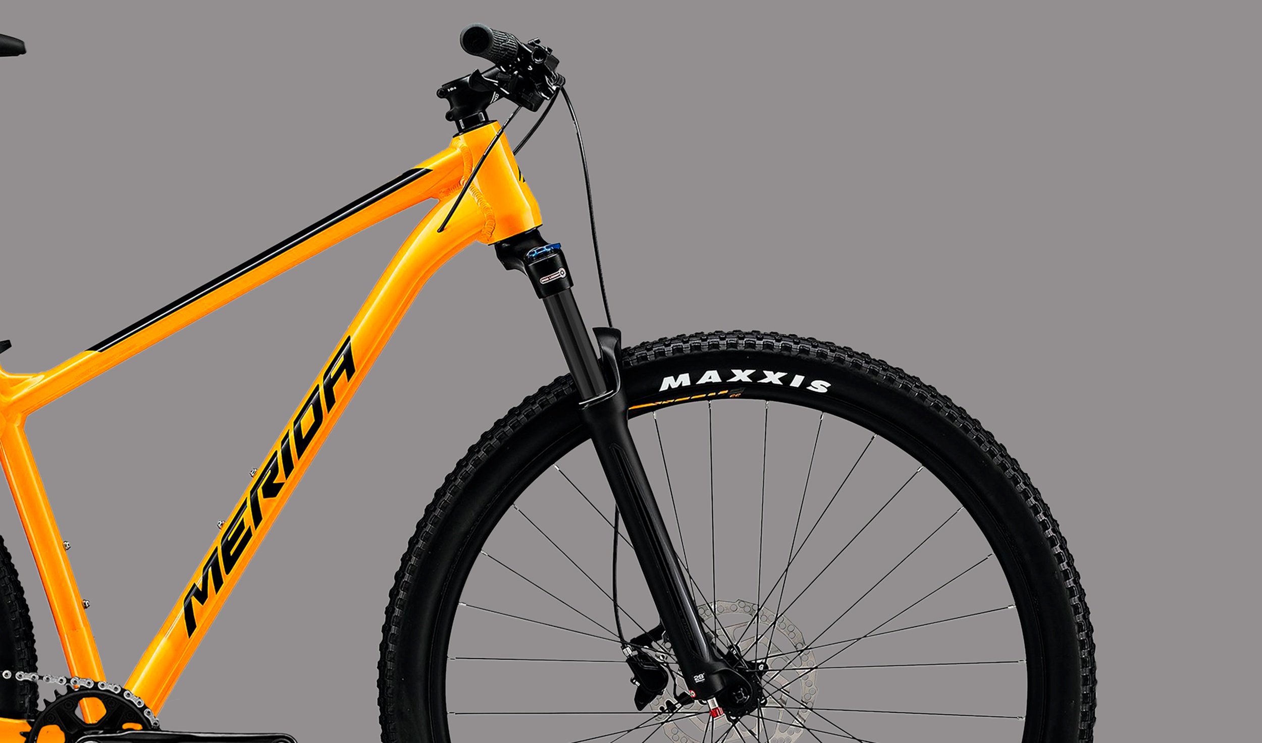 Big nine 300 Bicicleta montaña mejor calidad precio