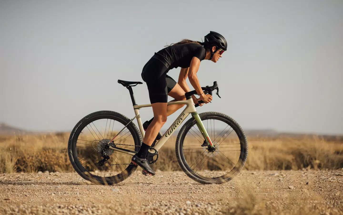 Wilier Rave SLR