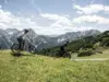 ¿Cómo elegir tu primera Bici Eléctrica de Montaña en 2026? Guía Definitiva de Compra durok raymon 2026