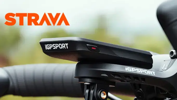 binavi con strava